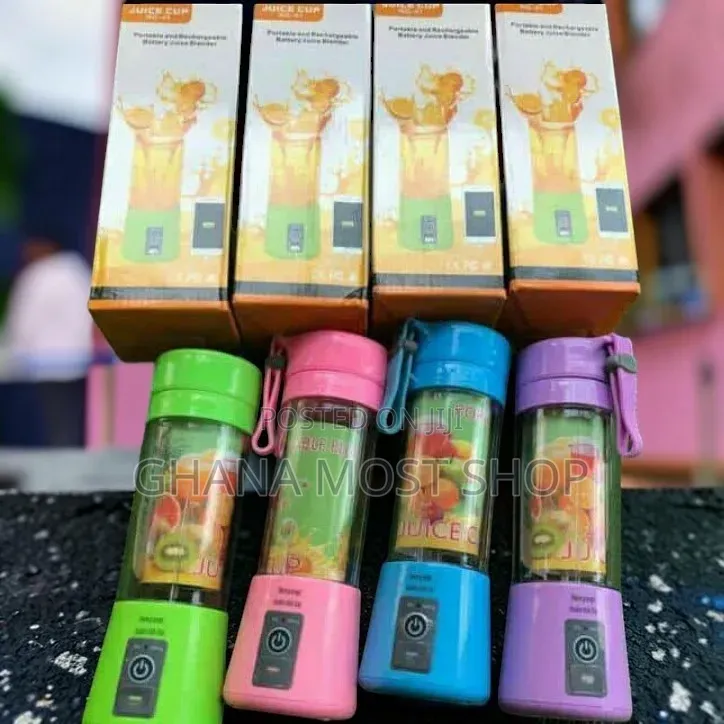 Mini Fruit Juicer And Smoothie Maker(23212)