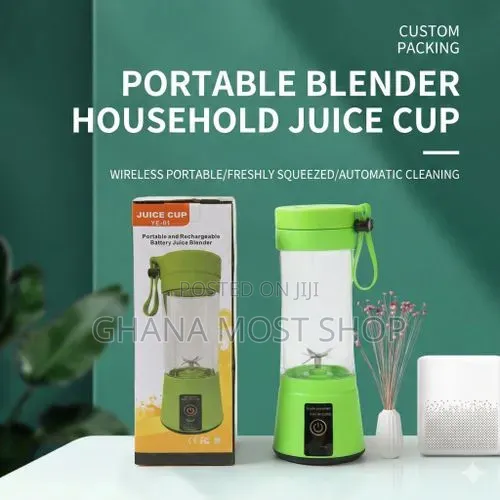 Mini Fruit Juicer And Smoothie Maker(23212)