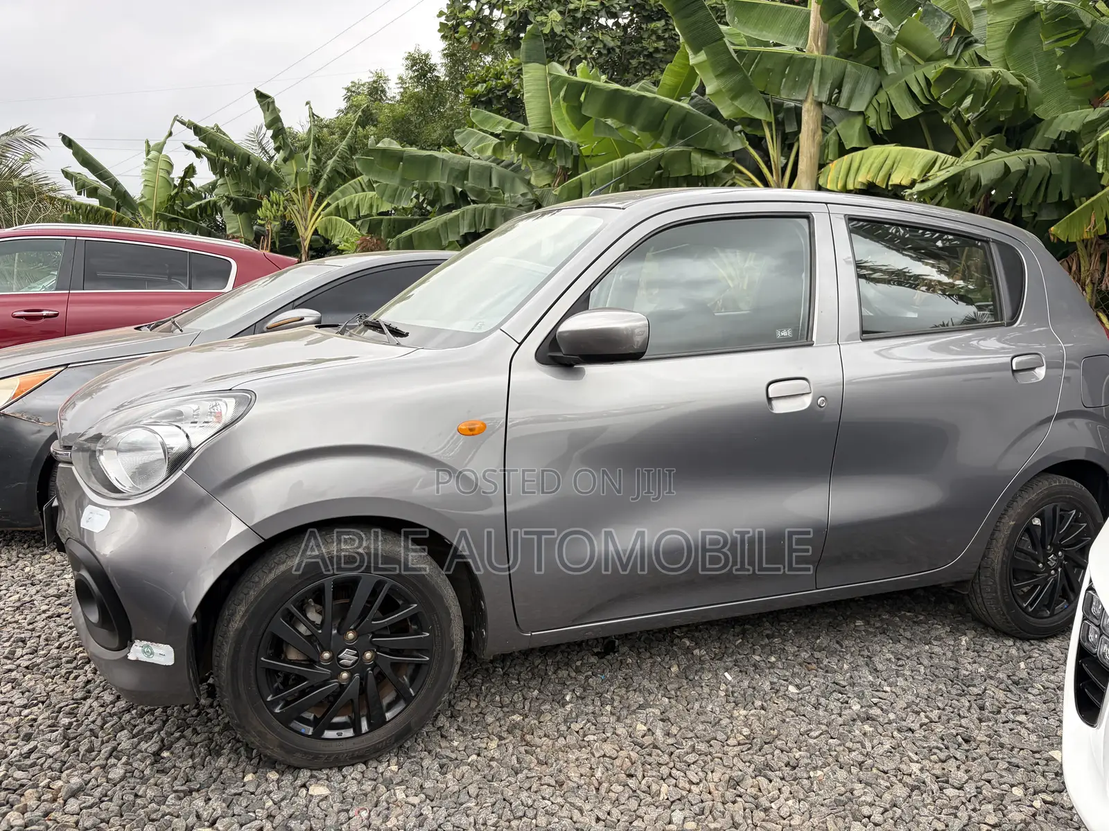 Suzuki Celerio 2024 Gray