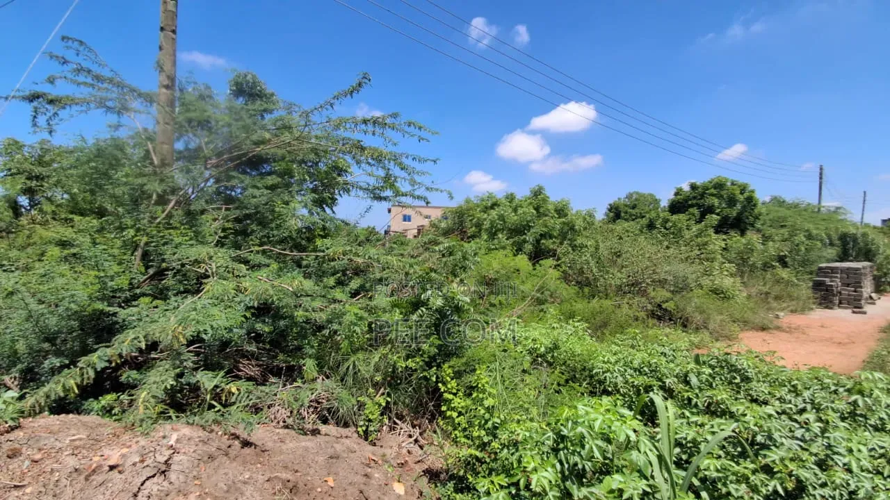 Bechem Concession for Mining (Gold Land) CHECK PRICE IN DESCRIPTION