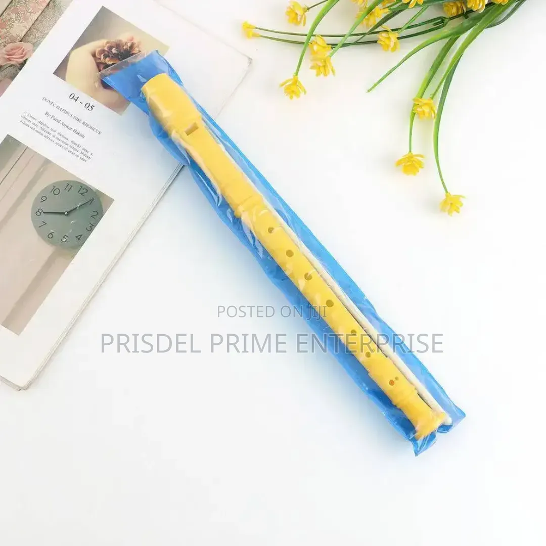 Plastic Flute Woodwind