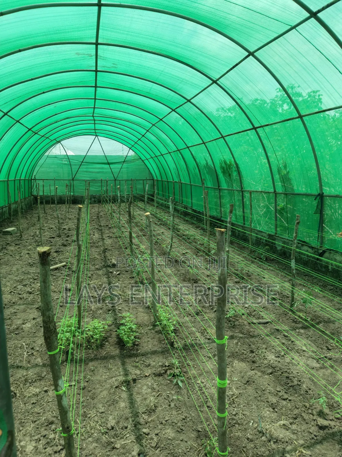 Shade Net (2x50 Meters and 2x100 Meters/ 50%, 60% and 80%)