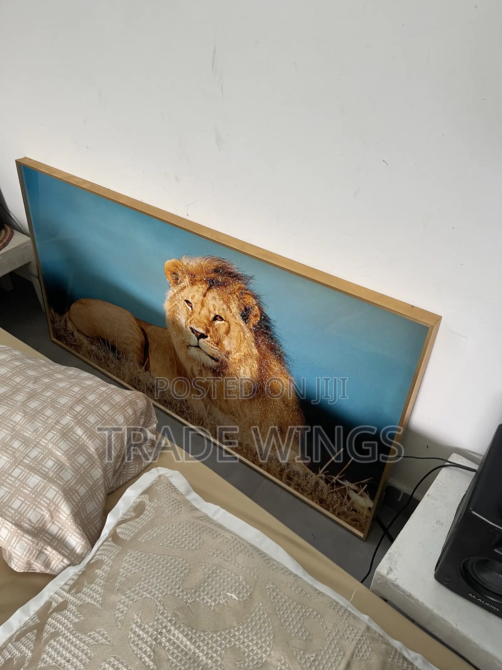 Large Luxury Lion Signage for Sale Frames