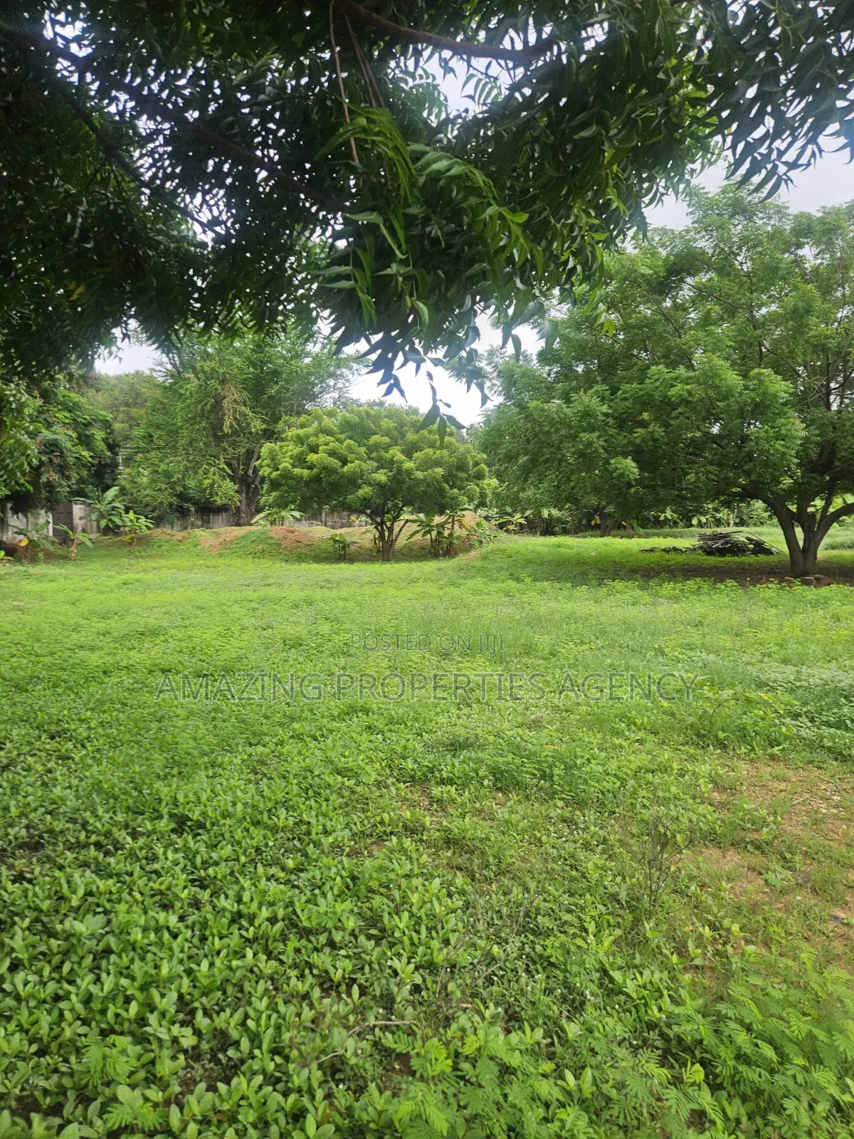 For Sale 2 Plots of Land Abelemkpe