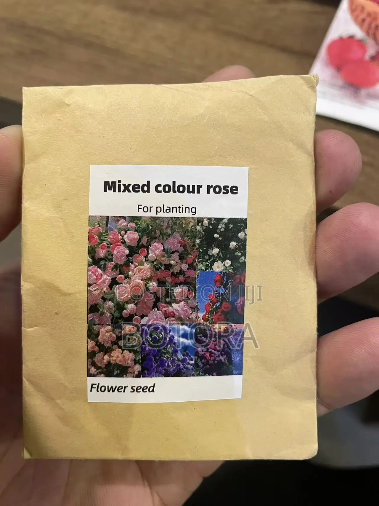 Climbing Rose Seeds for Planting – Beautiful Flowering Vine for Walls