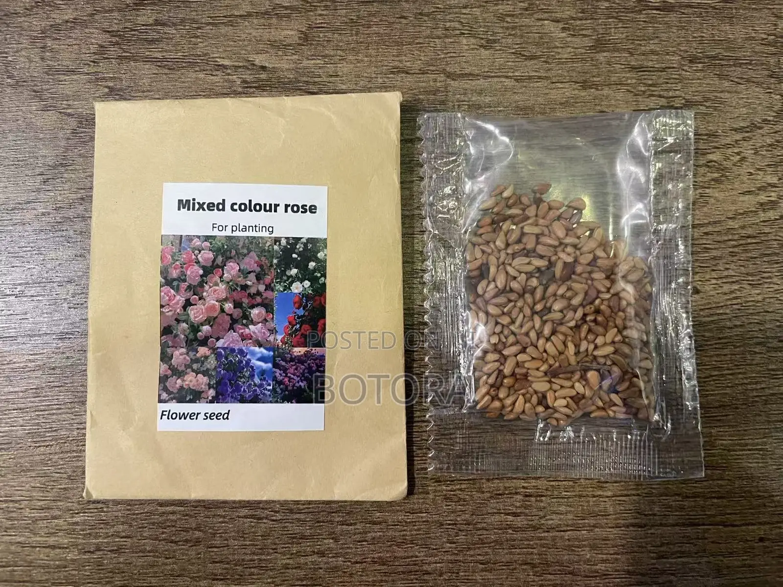 Climbing Rose Seeds for Planting – Beautiful Flowering Vine for Walls