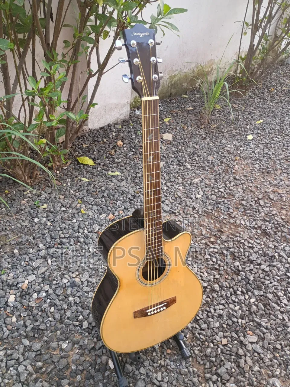 Martin Smith W401e-N Semi Acoustic Guitar