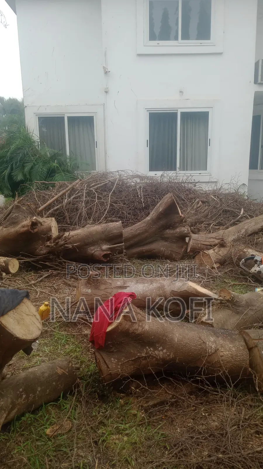 Tree Cutting, Prunning, Chainsaw Work and Gardening Service Service