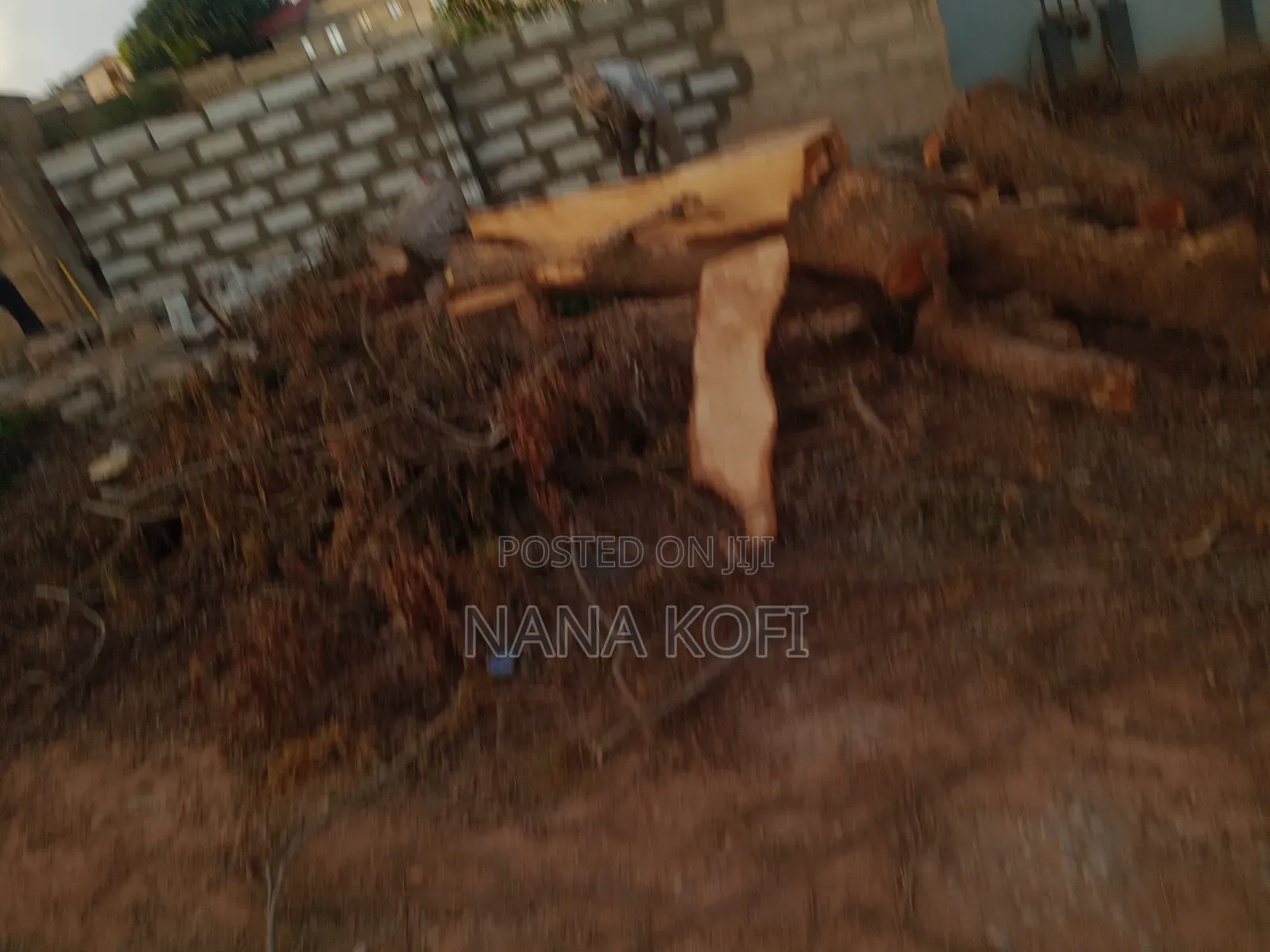 Tree Cutting, Prunning, Chainsaw Work and Gardening Service Service