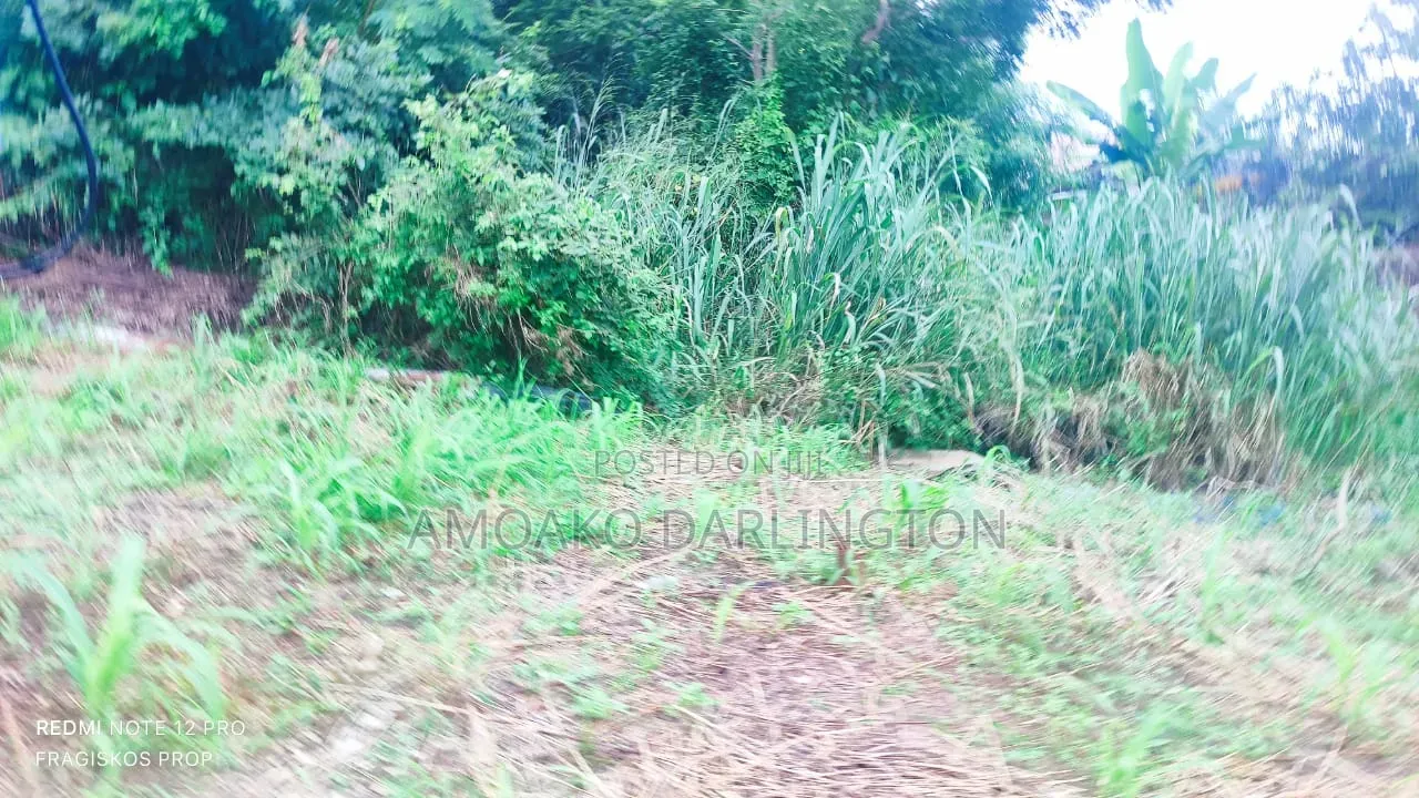 4 Plot of Land for Sle Ridge Airpot