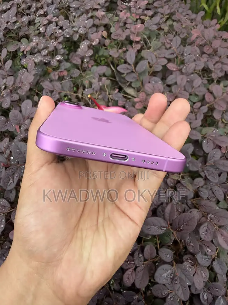 Apple iPhone 16 Plus 256 GB Pink