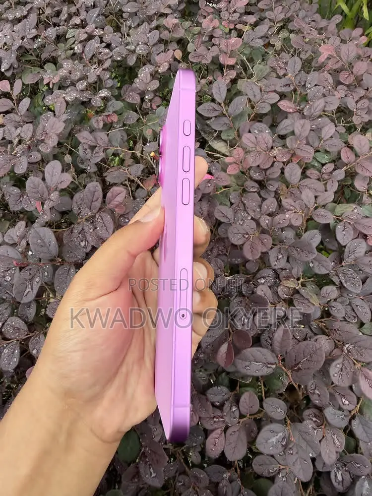 Apple iPhone 16 Plus 256 GB Pink