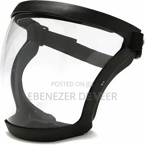 Faceshield With Filter