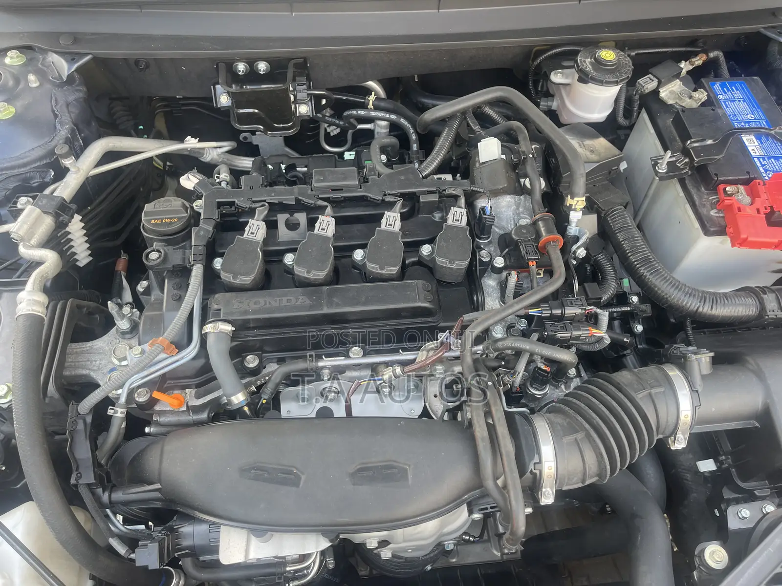 Honda Accord SE CVT 2025 Blue