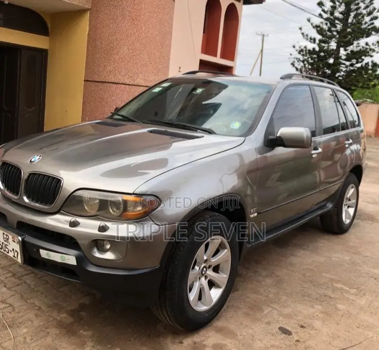 BMW X5 3.0i Sports Activity 2006 Gray