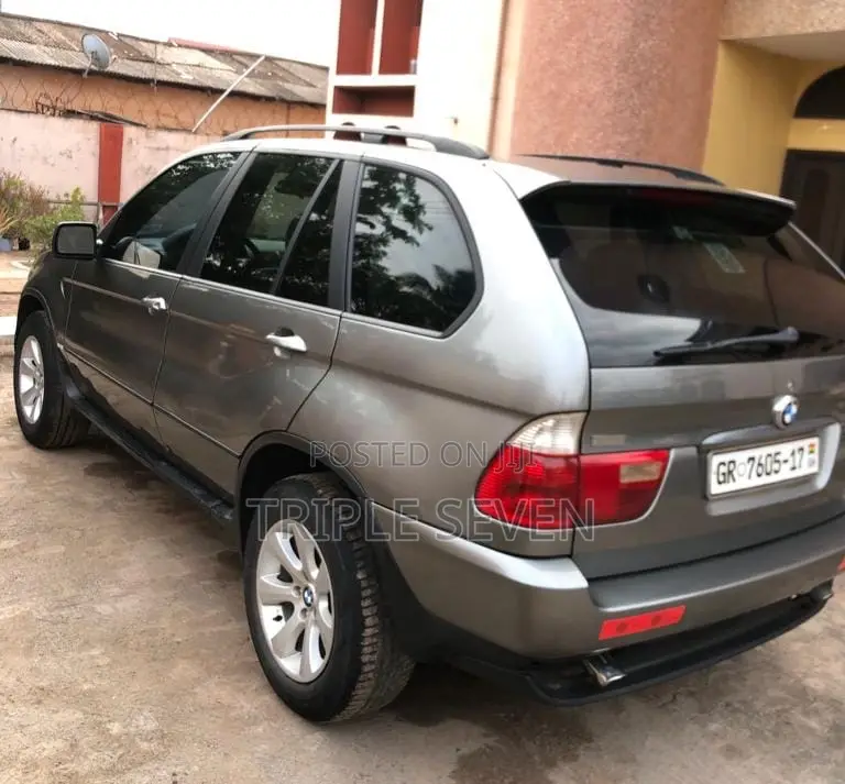 BMW X5 3.0i Sports Activity 2006 Gray