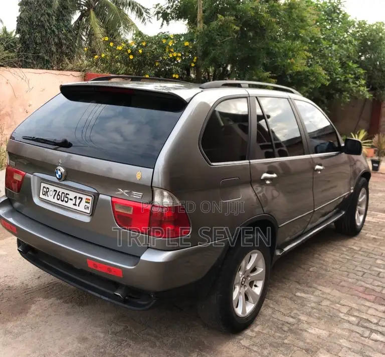 BMW X5 3.0i Sports Activity 2006 Gray