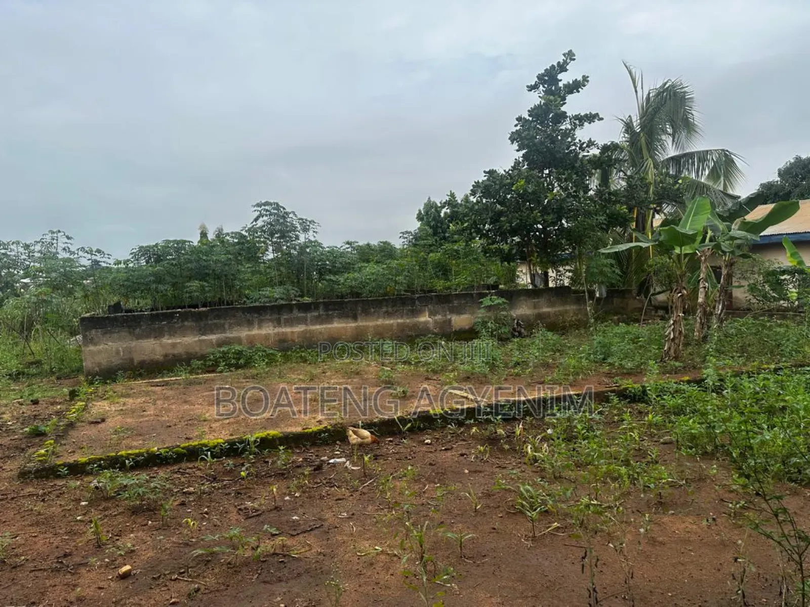 Litigation Free Land With Documents at Safo Asonomaso Nkwanta