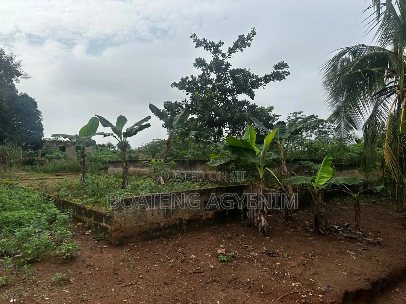 Litigation Free Land With Documents at Safo Asonomaso Nkwanta