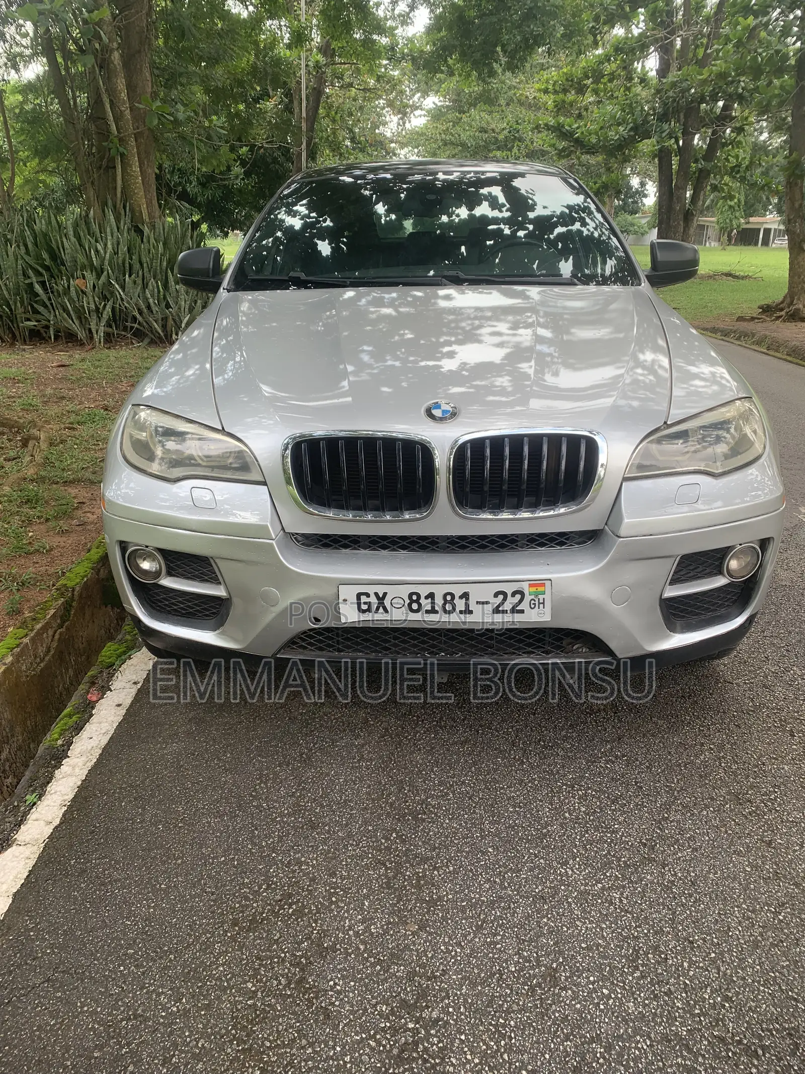 BMW X6 2013 Silver