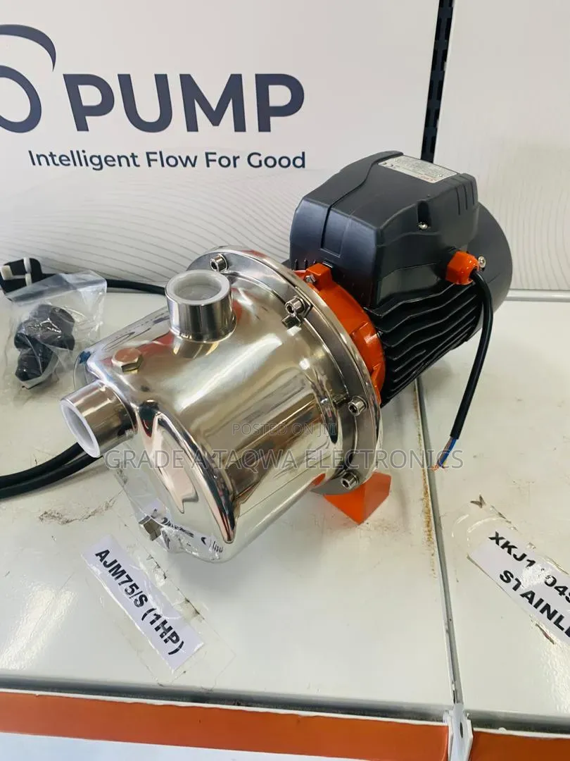 Check Out the Leo 1horsepower Stainless Water Pump