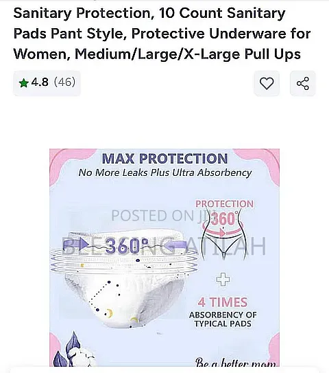 Sanitary Panty (360)