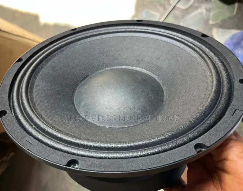 JLD 1000 Watts 10 Inches Naked Speaker