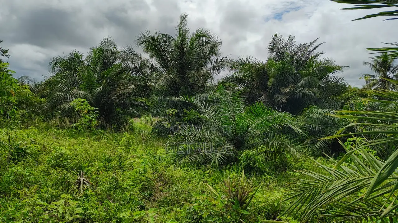 3000+ Acres Farm Land at Gomoa and Swedru for Sale