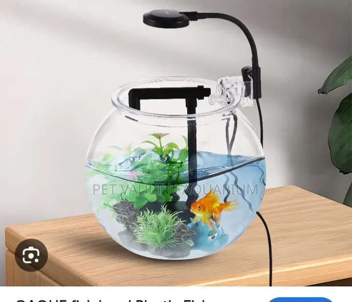 Package Fish Bowl