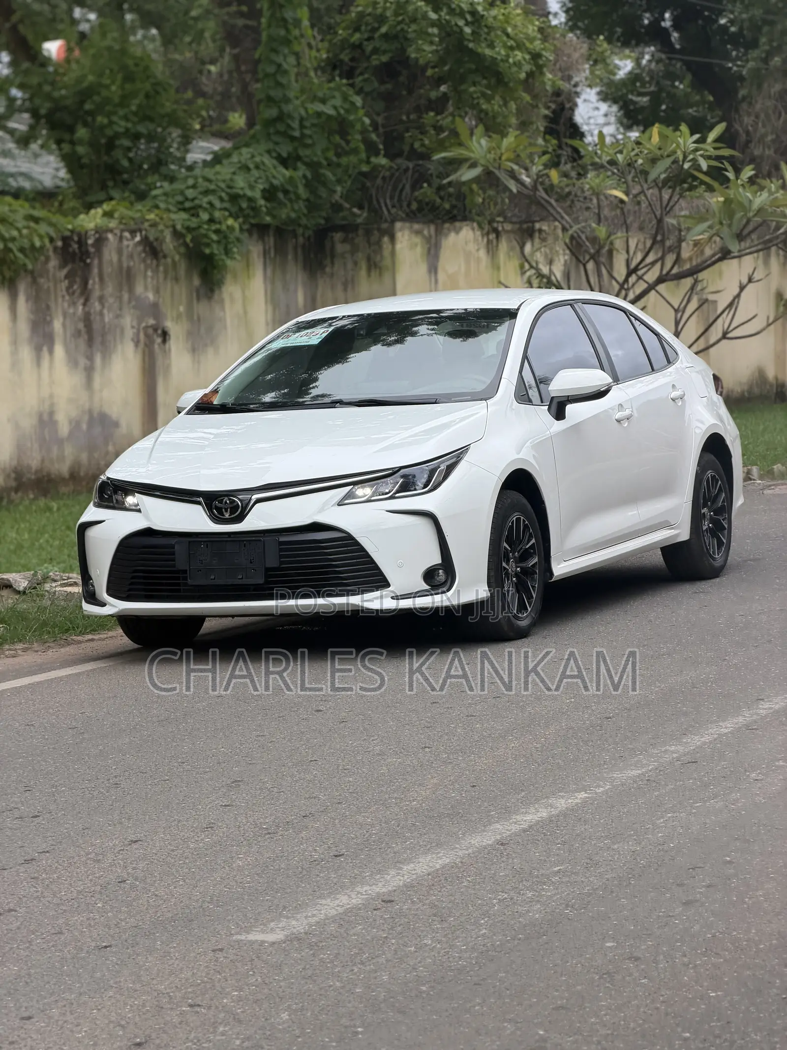 Toyota Corolla LE 2024 White