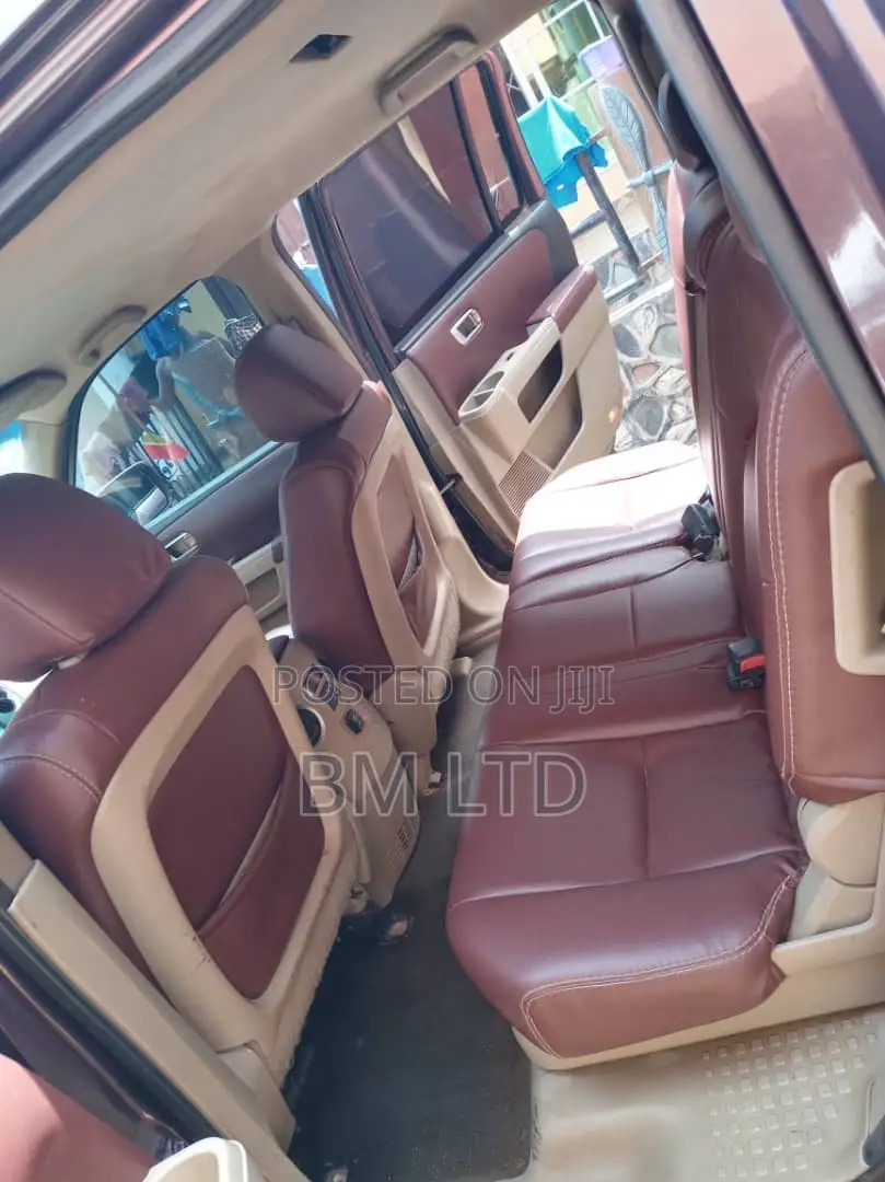 Honda Pilot 2011 Gray