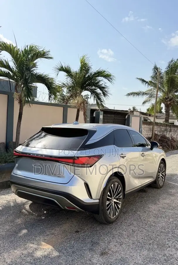 Lexus RX 350 Premium AWD 2024 Silver