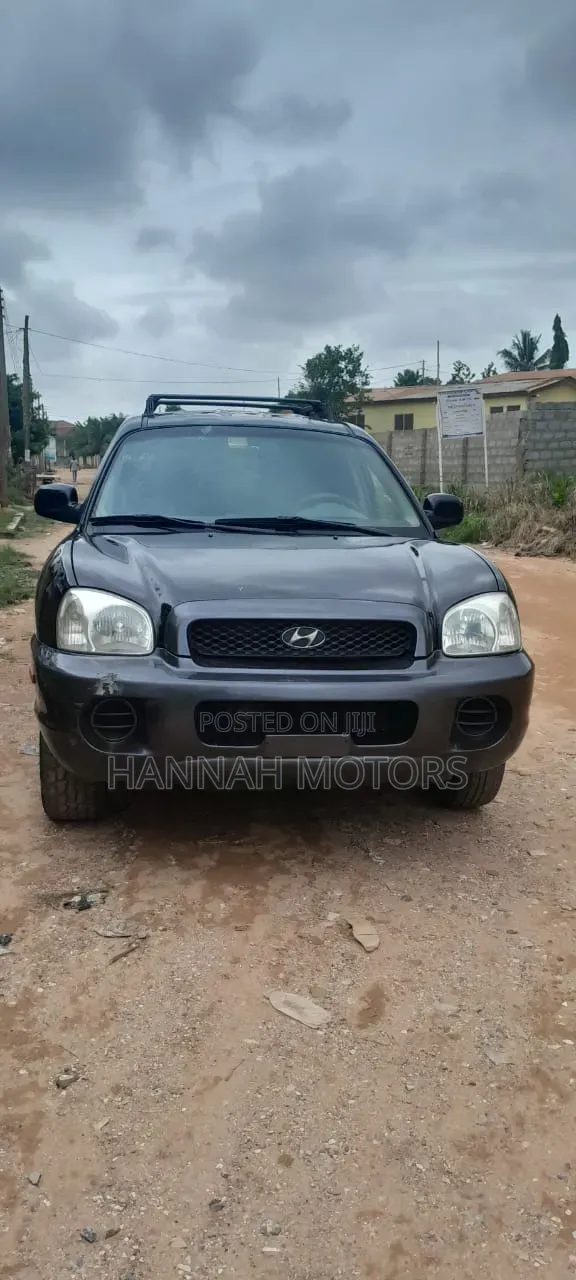 Hyundai Santa Fe 2.4 2005 Black