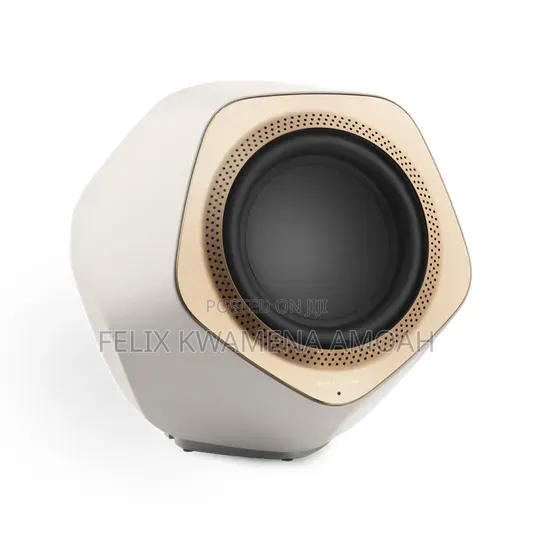 Bang Olufsen Beolab 19 Subwoofer