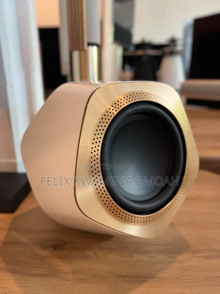 Bang Olufsen Beolab 19 Subwoofer