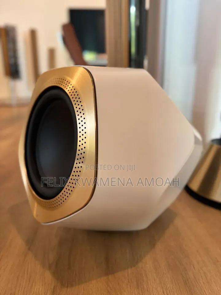 Bang Olufsen Beolab 19 Subwoofer