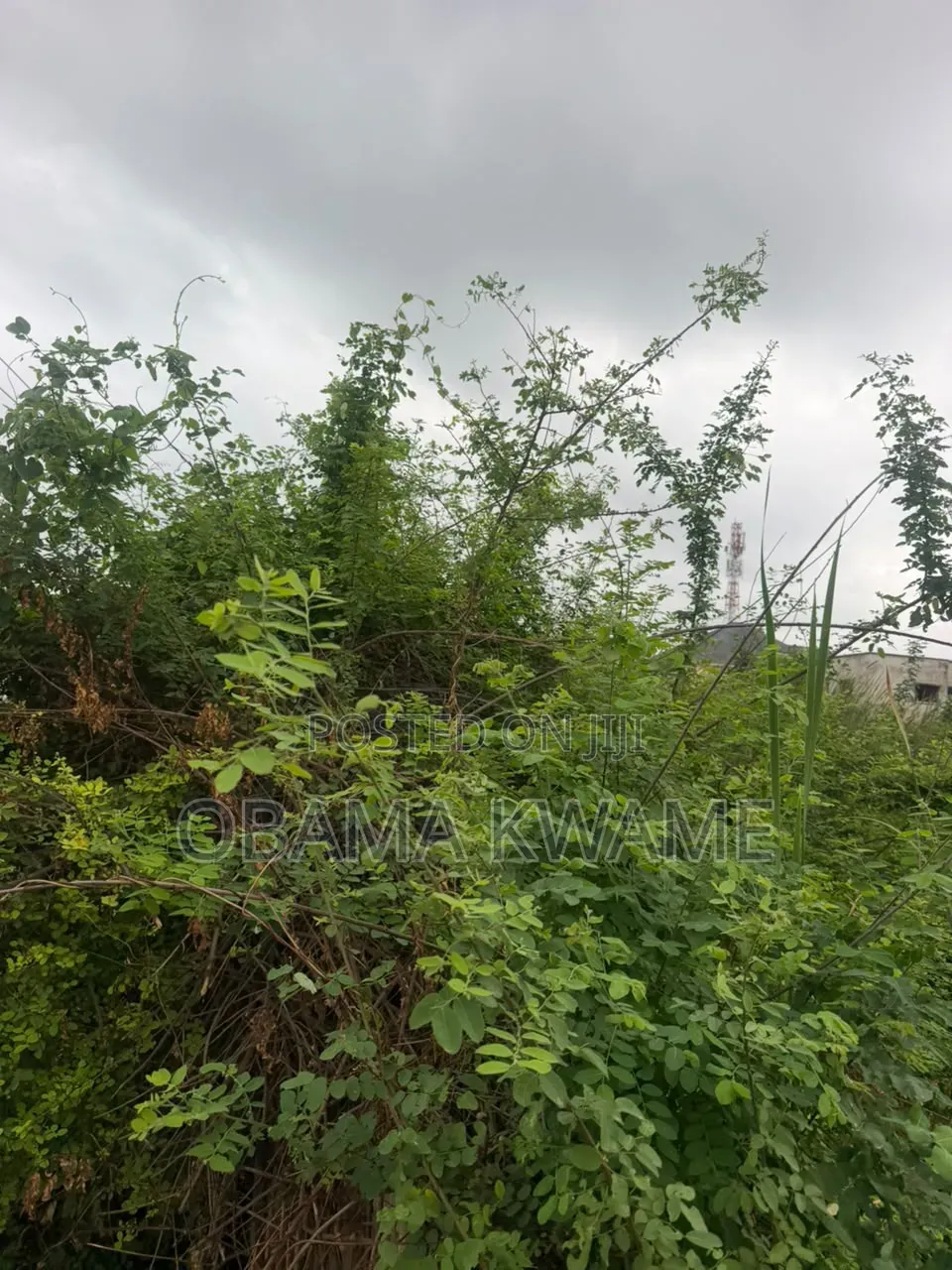 Titled Walled and Gated 2 Acres of Land for Sale at East Legon