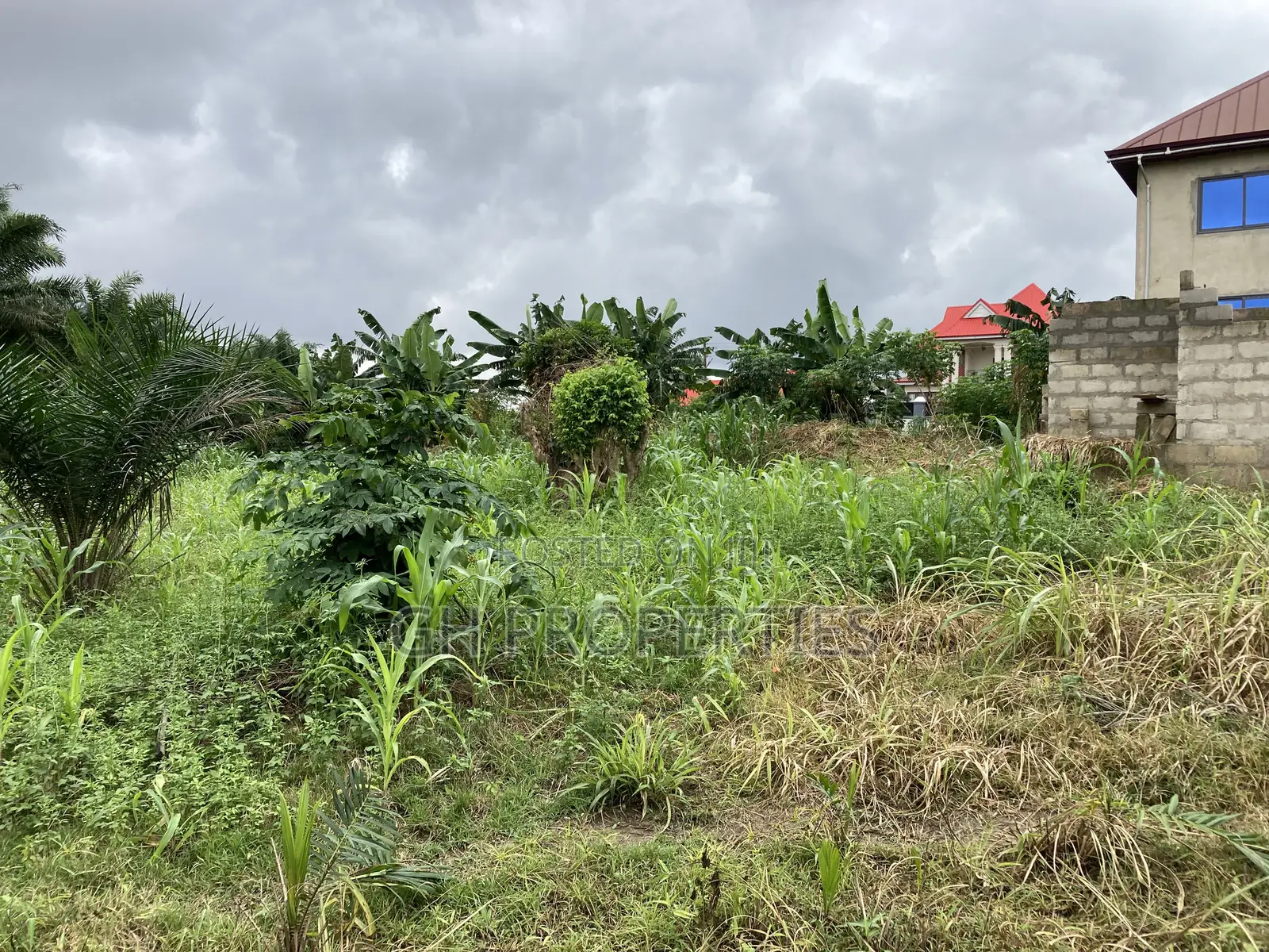Half Plot for Sale at Sokoban Ampaame Hills .