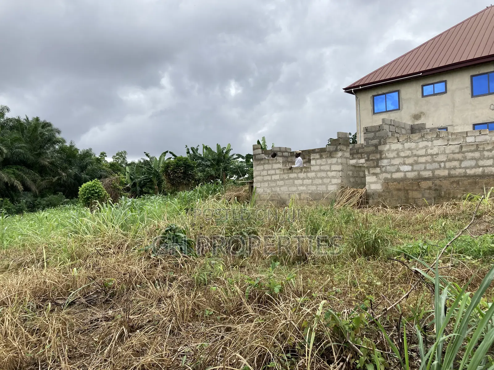Half Plot for Sale at Sokoban Ampaame Hills .