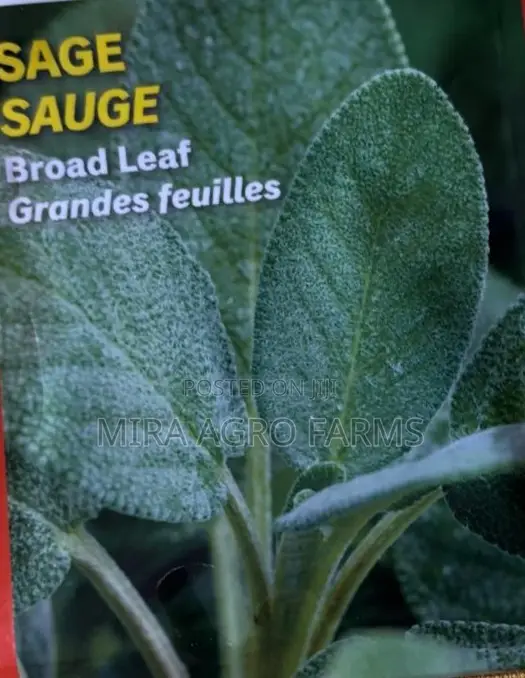 Fruits, Herbs and Spices Seedlings