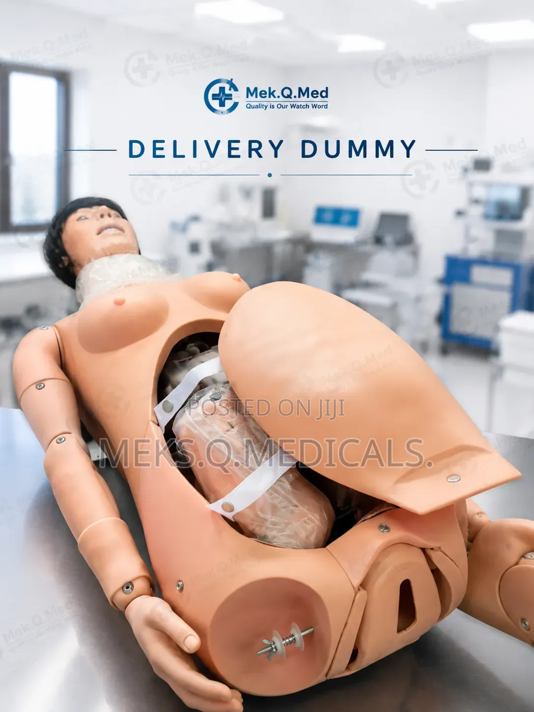 Delivery Dummy