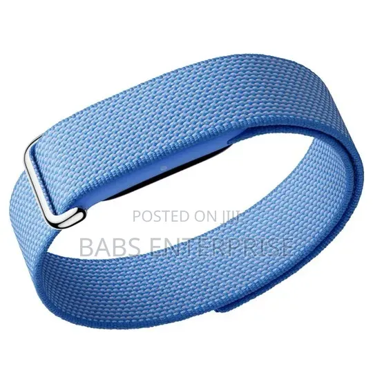 Google Fitbit Air