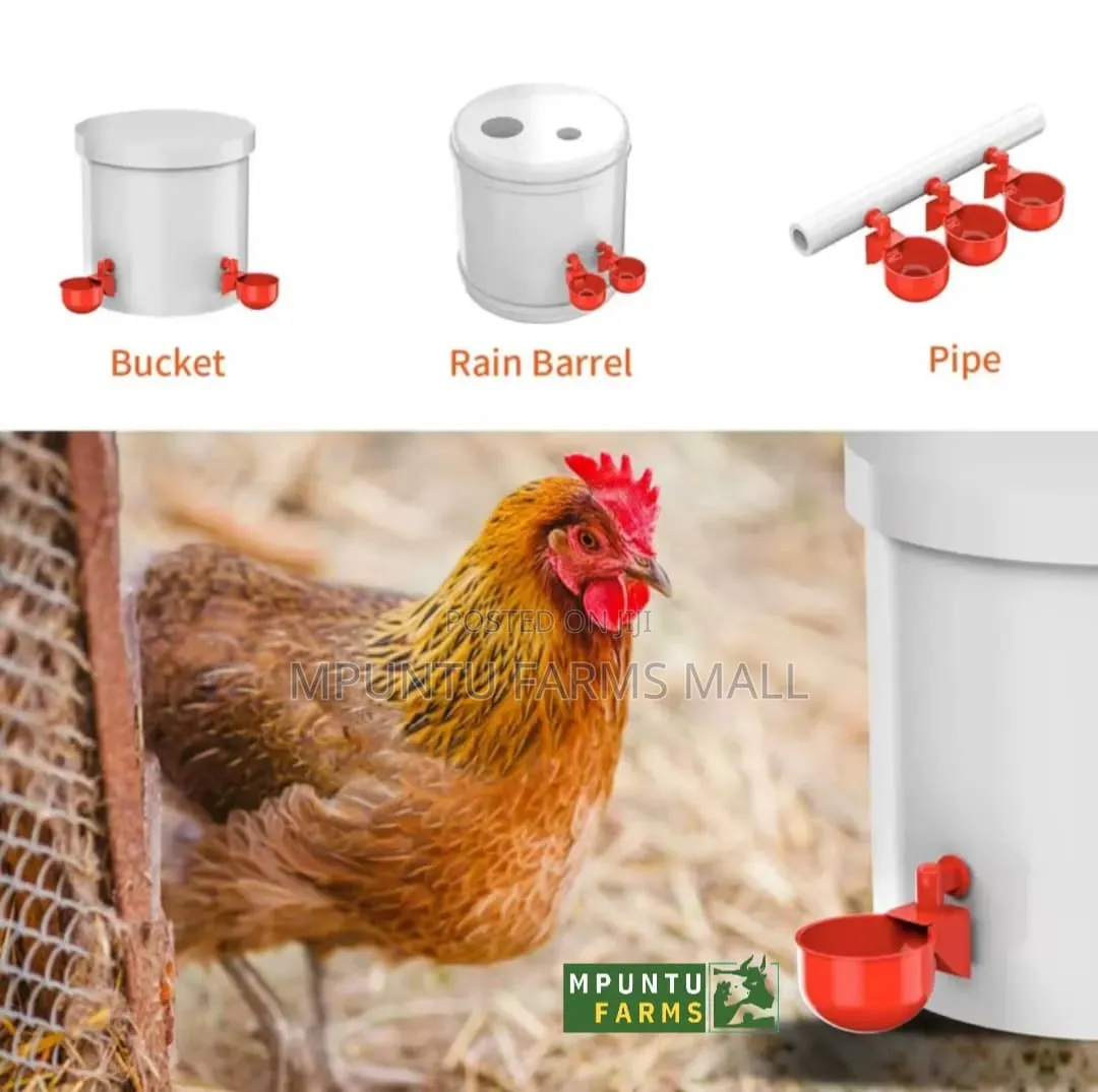 Automatic Bucket Cups