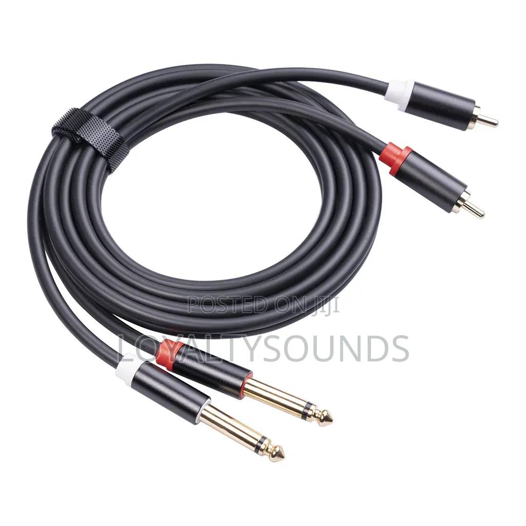 2 RCA to 2 6.5mm Audio Cables