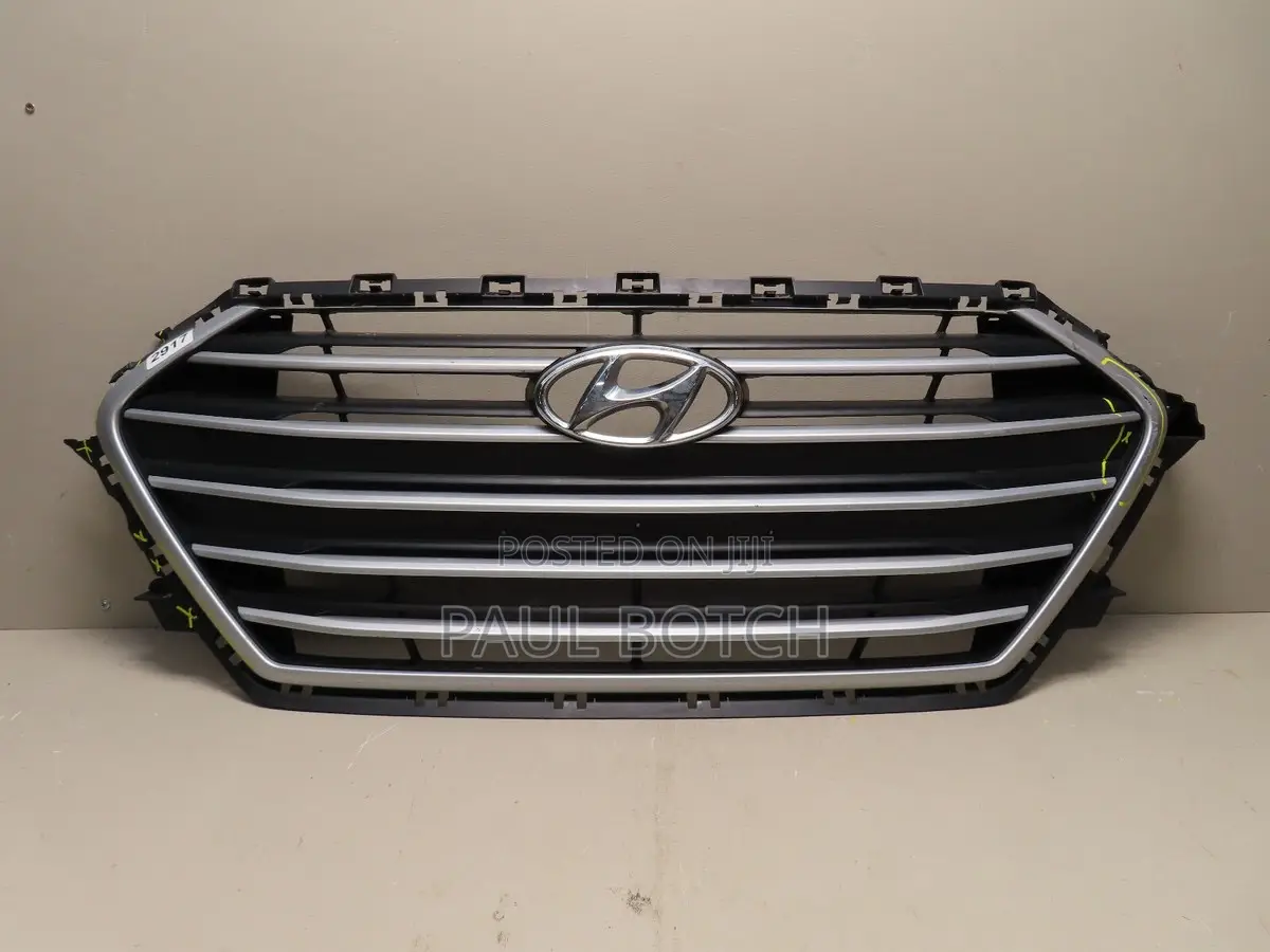 2017 Hyundai Elantra Front Grille