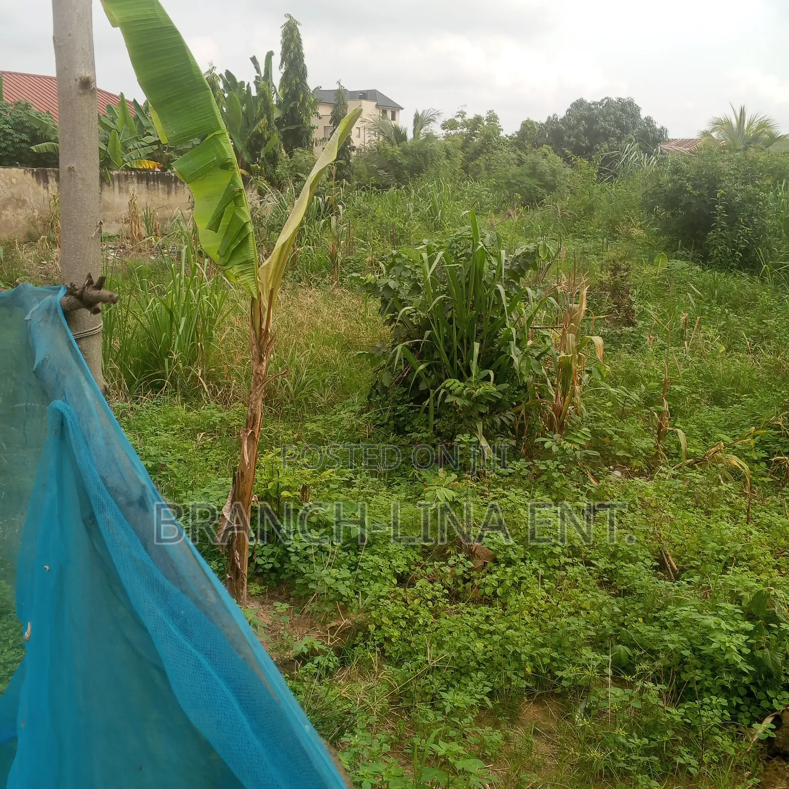A Plot of Land