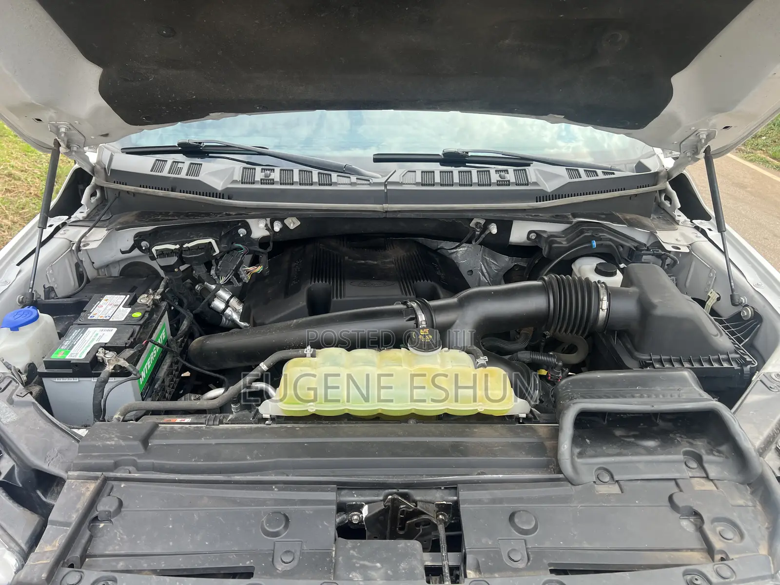 Ford F-150 2019 White