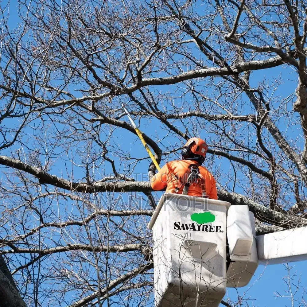 Tree Cutting Expert in Accra. Chainsaw Operator in Accra