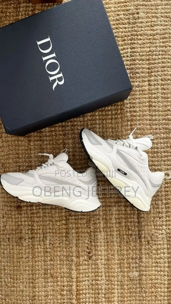 Original Dior B22 White