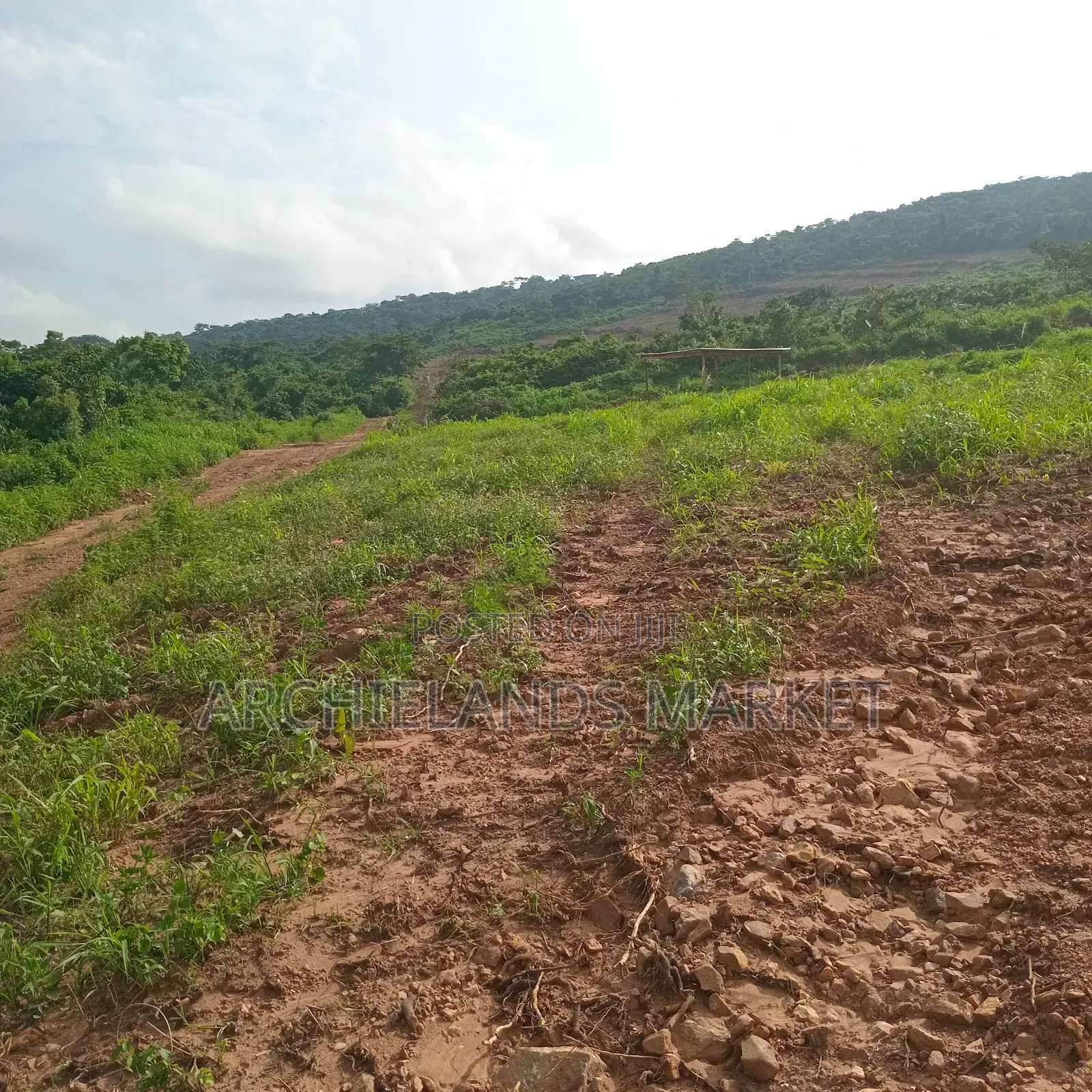 Land Available at Adamrobe